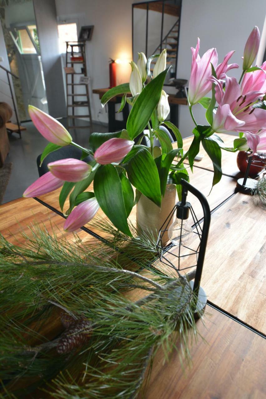Chambre D'Hotes Nature Et Saveurs Boutenac 외부 사진